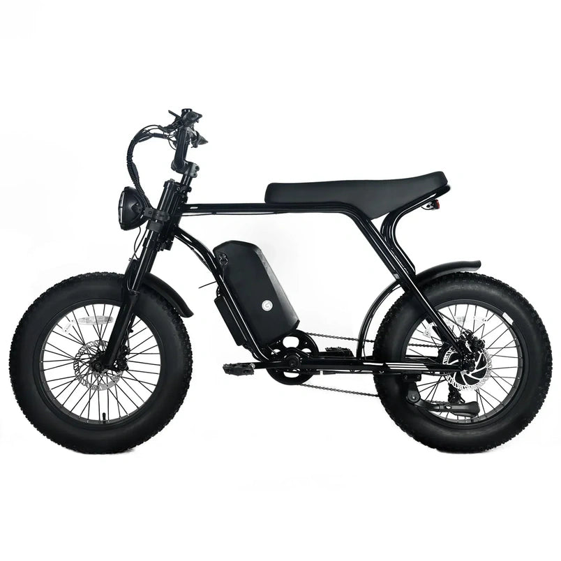 Electric Mountain Bike for Adults | 20 x 4.0 Fat Tires, 1000W Motor, 48V 20Ah Removable Battery, Max Speed 45MPH, Shi Mano 7-Speed for Off-Road Adventures