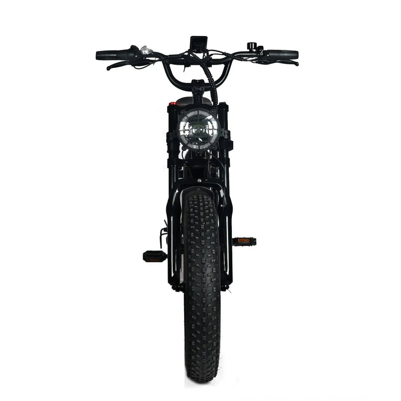 Electric Mountain Bike for Adults | 20 x 4.0 Fat Tires, 1000W Motor, 48V 20Ah Removable Battery, Max Speed 45MPH, Shi Mano 7-Speed for Off-Road Adventures