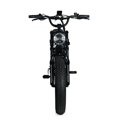 Electric Mountain Bike for Adults | 20 x 4.0 Fat Tires, 1000W Motor, 48V 20Ah Removable Battery, Max Speed 45MPH, Shi Mano 7-Speed for Off-Road Adventures